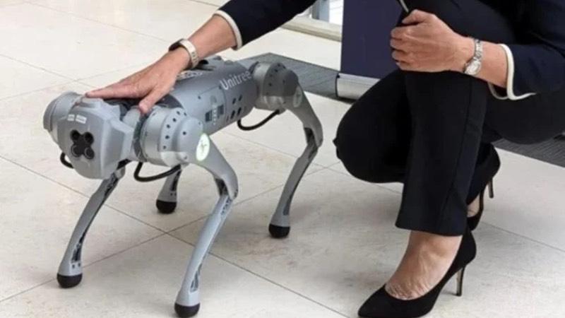 Suçlulara karşı 'robot köpekler' dönemi; hapishanelerin dışında devriye gezecekler