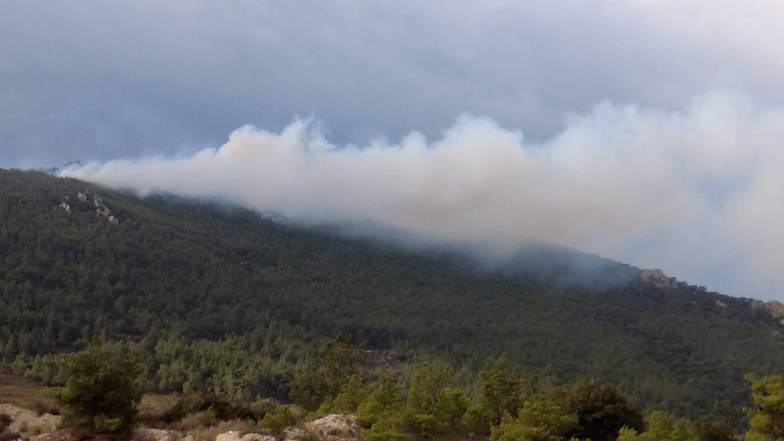 İzmir'de iki ilçede orman yangını