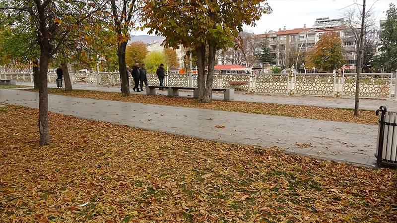 Tokat'ta doğal görüntünün kaybolmaması için sonbahar yapraklarının süpürülmesi yasaklandı