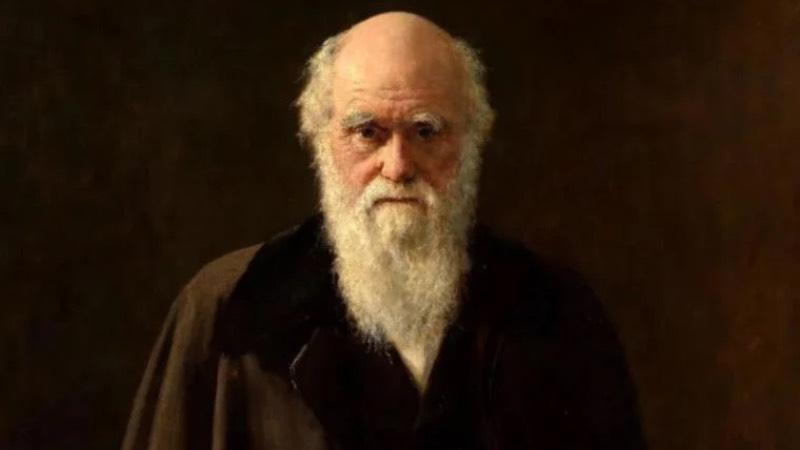 Charles Darwin'in tüm yazışmaları çevrimiçi erişime açıldı