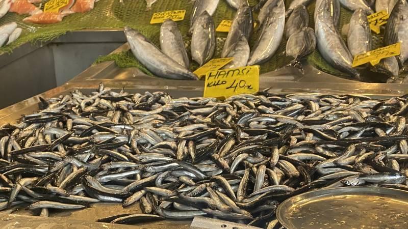 Havalar soğudu, hamsi bollaştı: Fiyatı yarı yarıya düştü