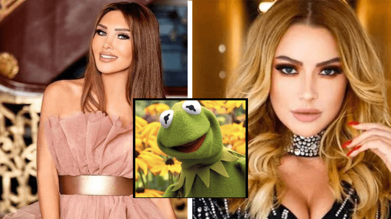 Seren Serengil, Hadise'nin makyajsız pozlarını Kurbağa Kermit'e benzetti