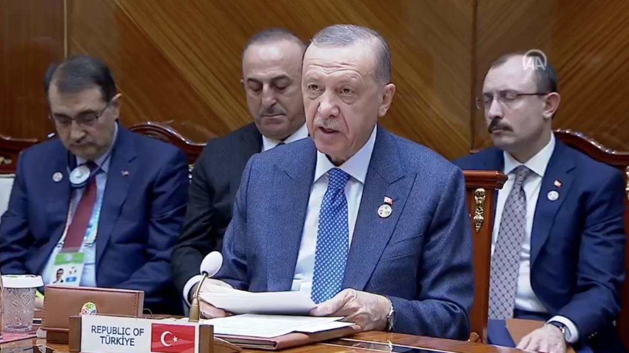 Erdoğan: Türkmenistan ve Azerbaycan'dan ülkemize elektrik nakli konusunda çalışmaya hazırız