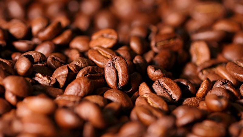 Araştırma: Arabica kahve türü, 2050'li yıllara kadar tamamen yok olabilir