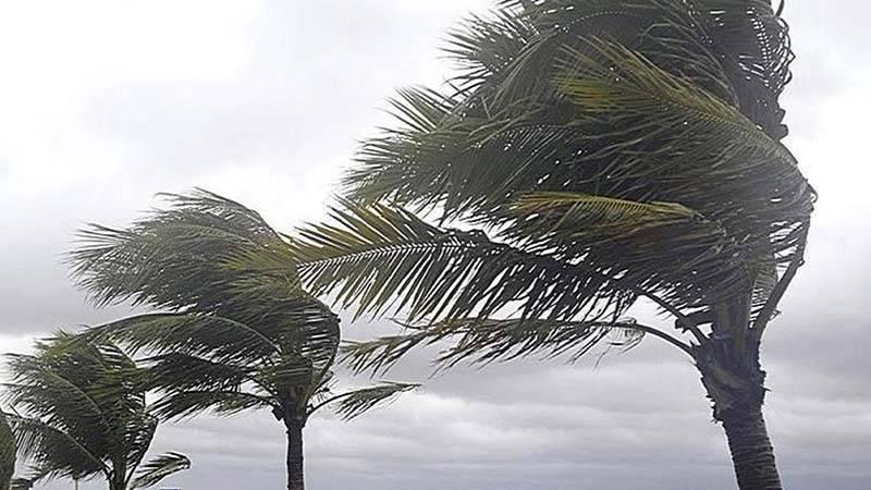 Meteoroloji'den altı il için sarı kodlu uyarı: Fırtınaya dikkat!