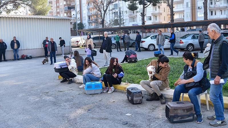 Evcil hayvan sahipleri için son günler; tarım müdürlüklerinde uzun kuyruklar oluştu