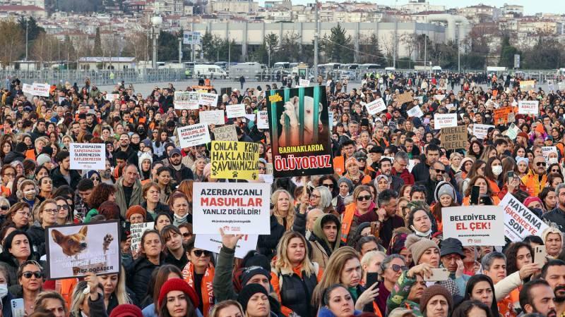 Ruhat Mengi'den çip tepkisi: Sonunda sıra ev hayvanlarının kısıtlanmasına mı gelecek?