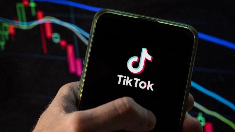 AB Konseyi çalışanlarına TikTok yasağı getirildi