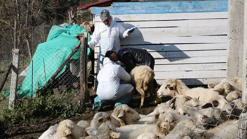 Zonguldak'ta 50 köy, karantinaya alındı