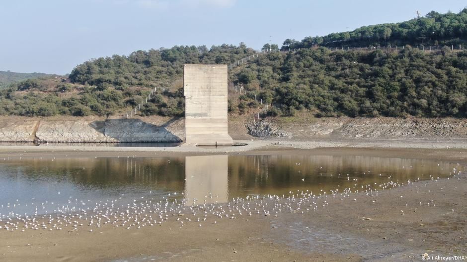 İstanbul'da su sorunu: Halk sağlığı tehdit altında