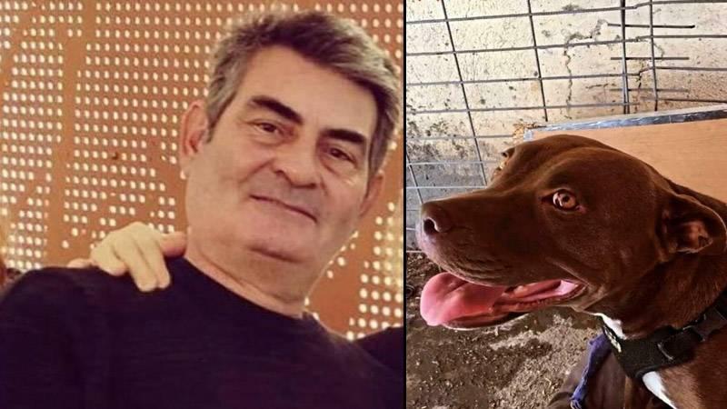 Kulübesinde kilitli köpeği yakarak öldüren sanığa 'iyi hal' indirimi