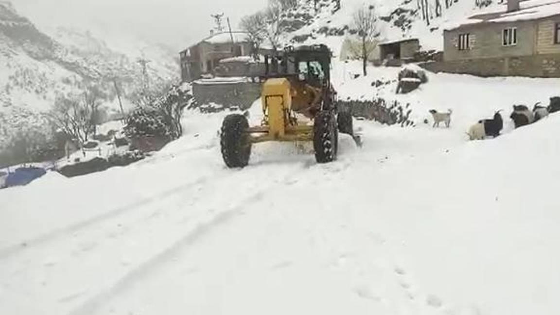 Şırnak'ta 20 köy ve 8 mezra yolu kardan kapandı