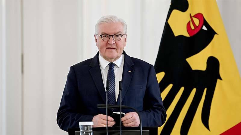 Almanya Cumhurbaşkanı Frank-Walter Steinmeier