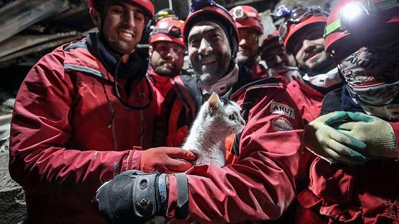 Hatay'daki enkazdan  'Holigan' 116 saat sonra canlı olarak çıkarıldı