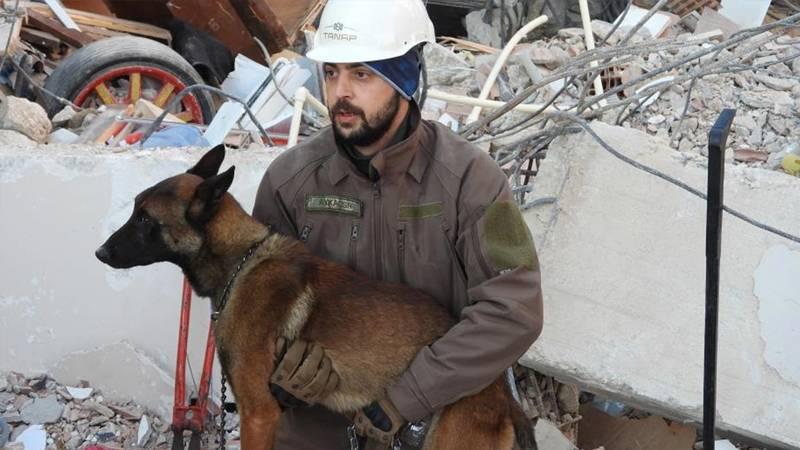 Arama kurtarma köpeği "Tetik", Hatay'da 15 kişinin kurtarılmasını sağladı