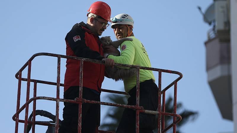 Binada mahsur kalan kediye vinçle kurtarıldı