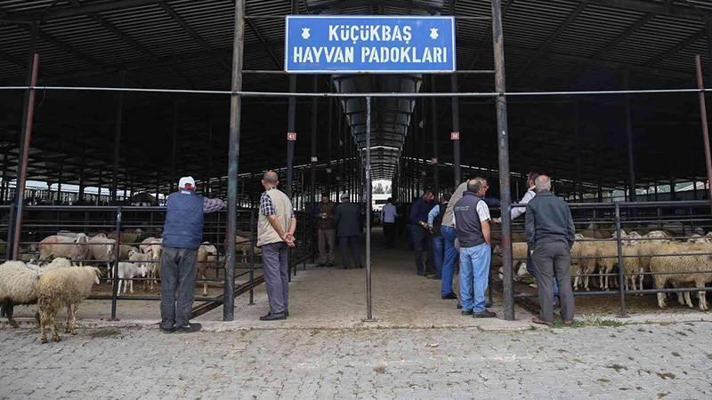 Kütahya'da şap hastalığı nedeniyle hayvan pazarları kapatıldı