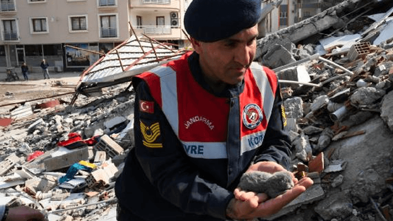 Enkazda kalan 5 günlük yavru kediler kurtarıldı