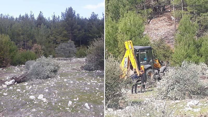 Akbelen Ormanı’nda nöbet tutan İkizköylüler: 29 zeytin ağacı söküldü, şikâyetçi olduk