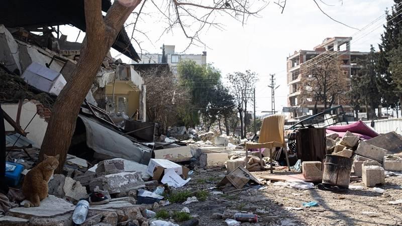 Fikri Sağlar: Deprem bahane edilerek özellikle, Hatay'ın siyasi nüfusu değiştirmek adına sınır kapıları açıldı