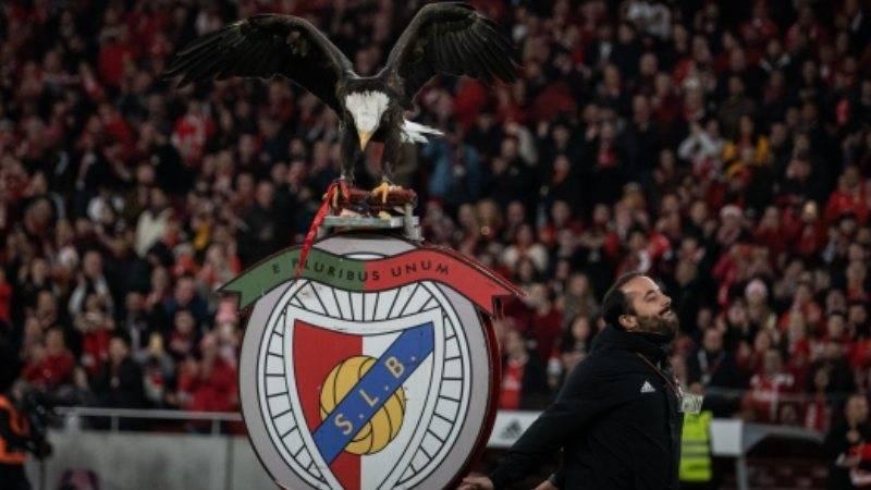 Benfica'ya şike ve teşvik soruşturması