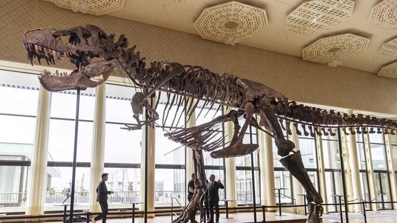 67 milyon yıllık T-Rex iskeleti açık artırmayla satılacak