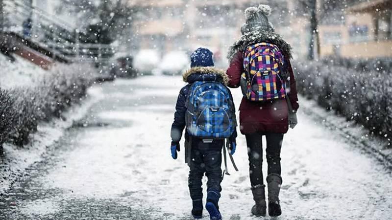 Muş ve Ordu'da olumsuz hava koşulları nedeniyle eğitime 1 gün ara verildi