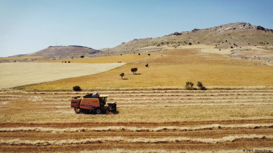 BM: Deprem Türkiye'nin tarım üretiminin 5'te 1'ine zarar verdi