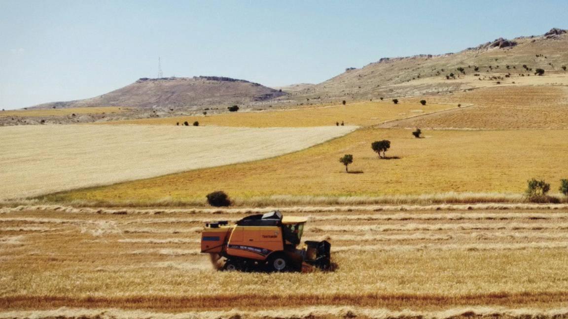 Deprem Türkiye'nin tarım üretiminin 5'te 1'ine zarar verdi 