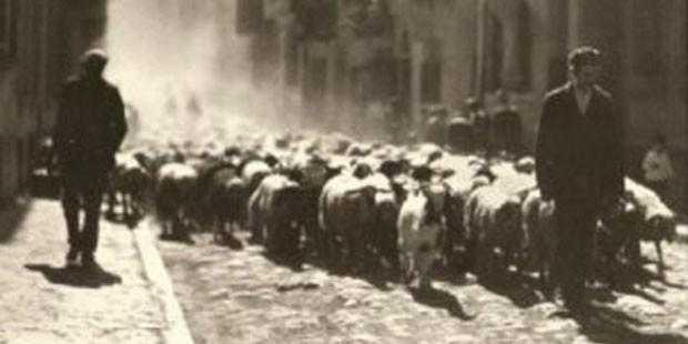 National Geographic'in sandığından Türkiye fotoğrafları çıktı