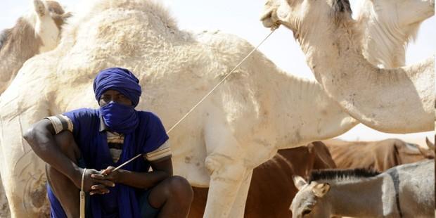 Mali'de insani risk artıyor, 210 bin çocuk açlık tehdidinde