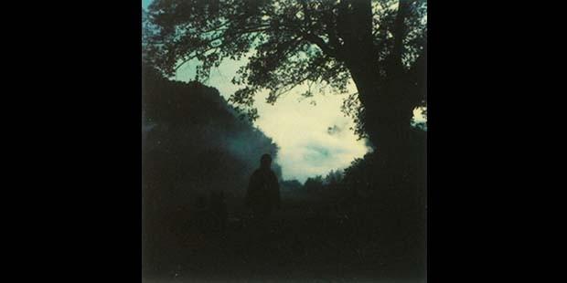 Andrey Tarkovski'nin polaroid fotoğrafları