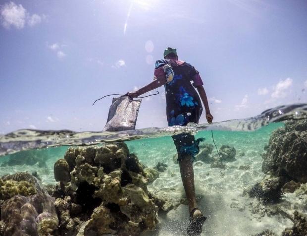 Zanzibar'ın ahtapot avcıları