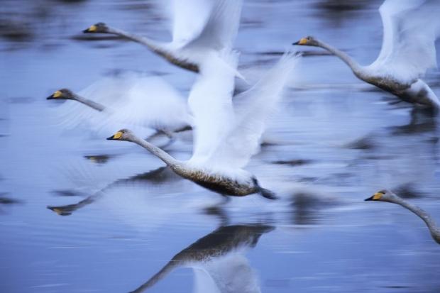 National Geographic Yılın Seyahat Fotoğraflarını seçti