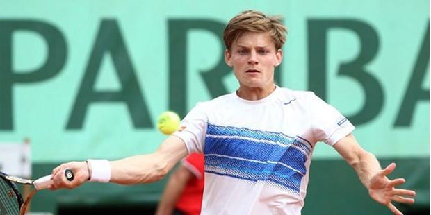 Goffin çeyrek finalde