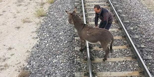 Böyle vicdansızlık olmaz!