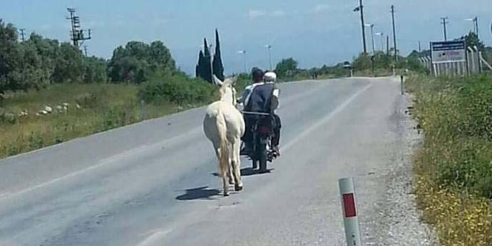 Ata motosikletli eziyet