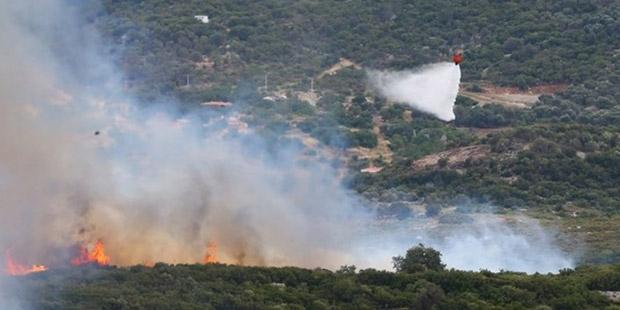 İzmir Karaburun’daki yangında 15 hektar kül oldu