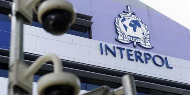 Beş soruda Interpol