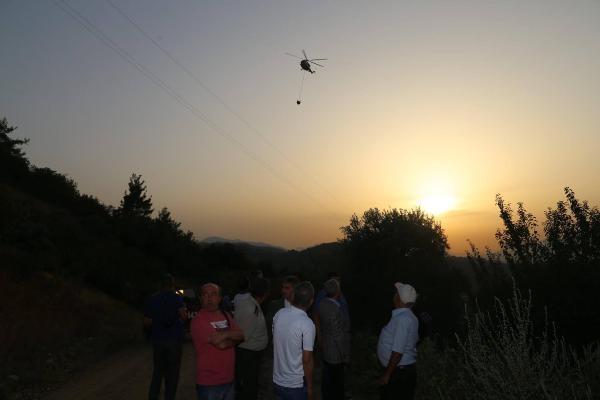 Manisa'da orman yangını