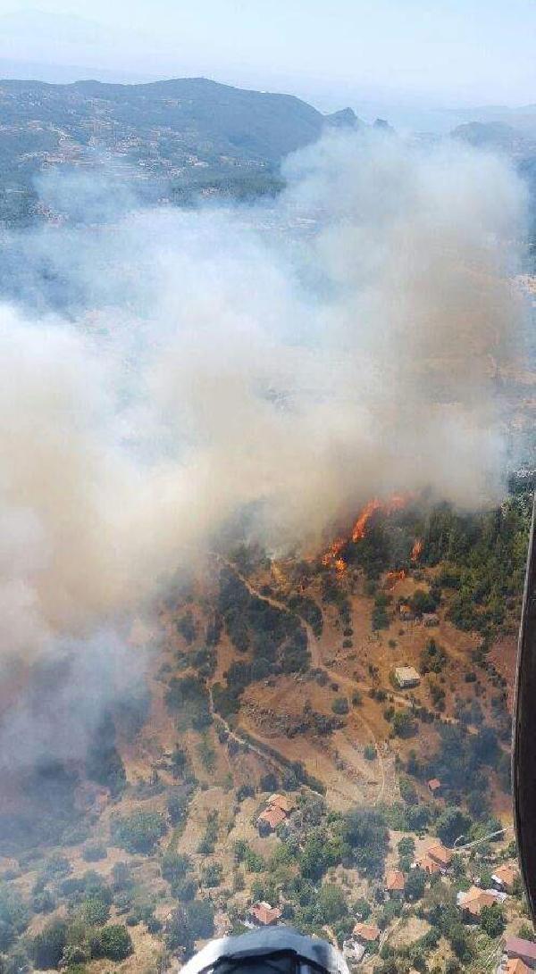 Muğla'da orman yangını