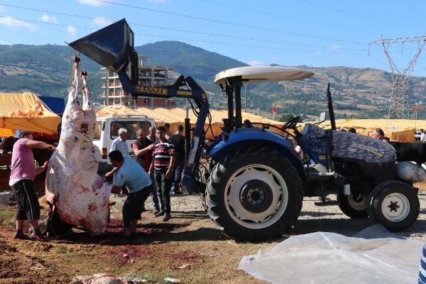 Samsun'da kurban manzaraları