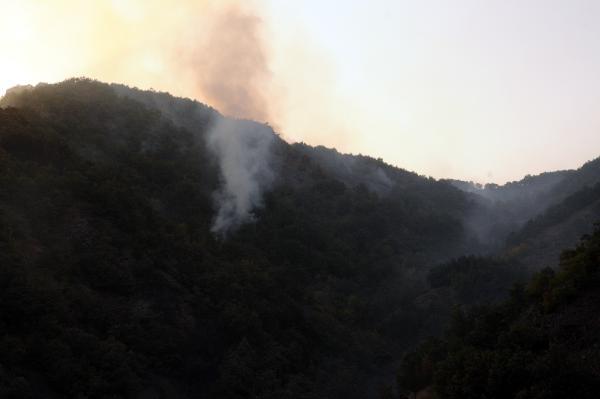 Tokat'ta orman yangını