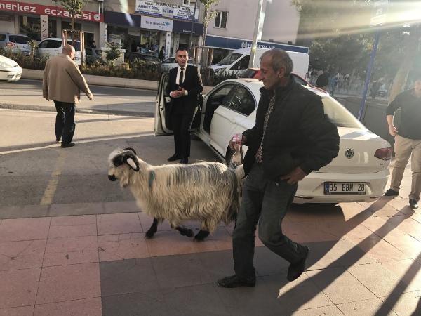 Keçisini yanından ayırmıyor