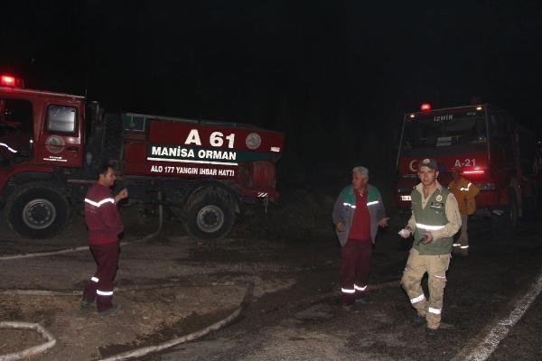 Manisa'da orman yangını 