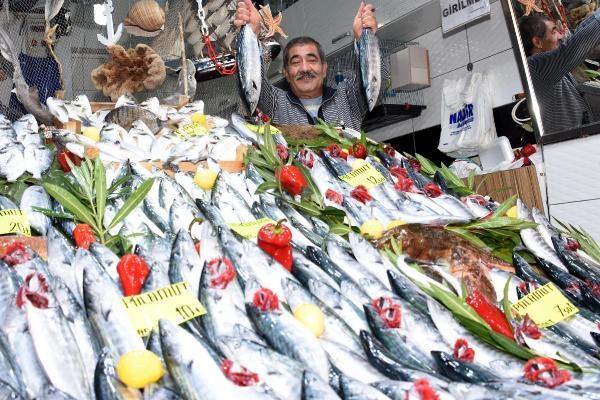 Palamut fiyatları düştü