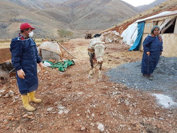 Çelikhan'da, kuduz karantinası