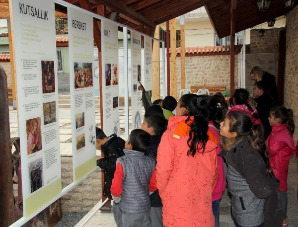 Hatay'a Zeytin Müzesi