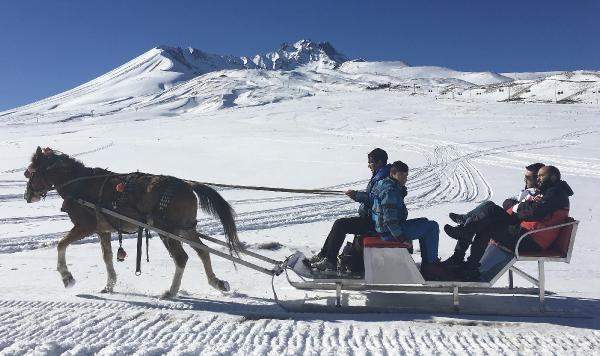 Erciyes'te atlı kızak 