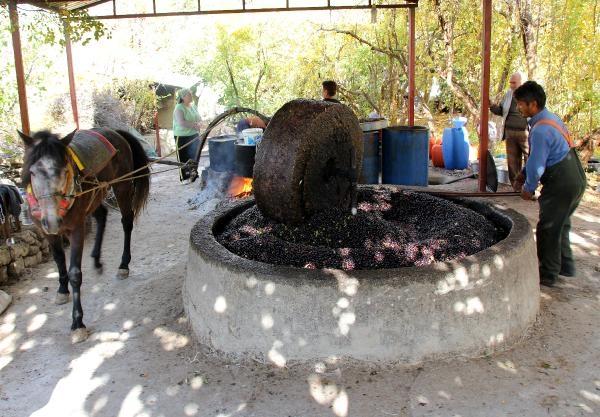 Geleneksel yöntemle zeytinyağı